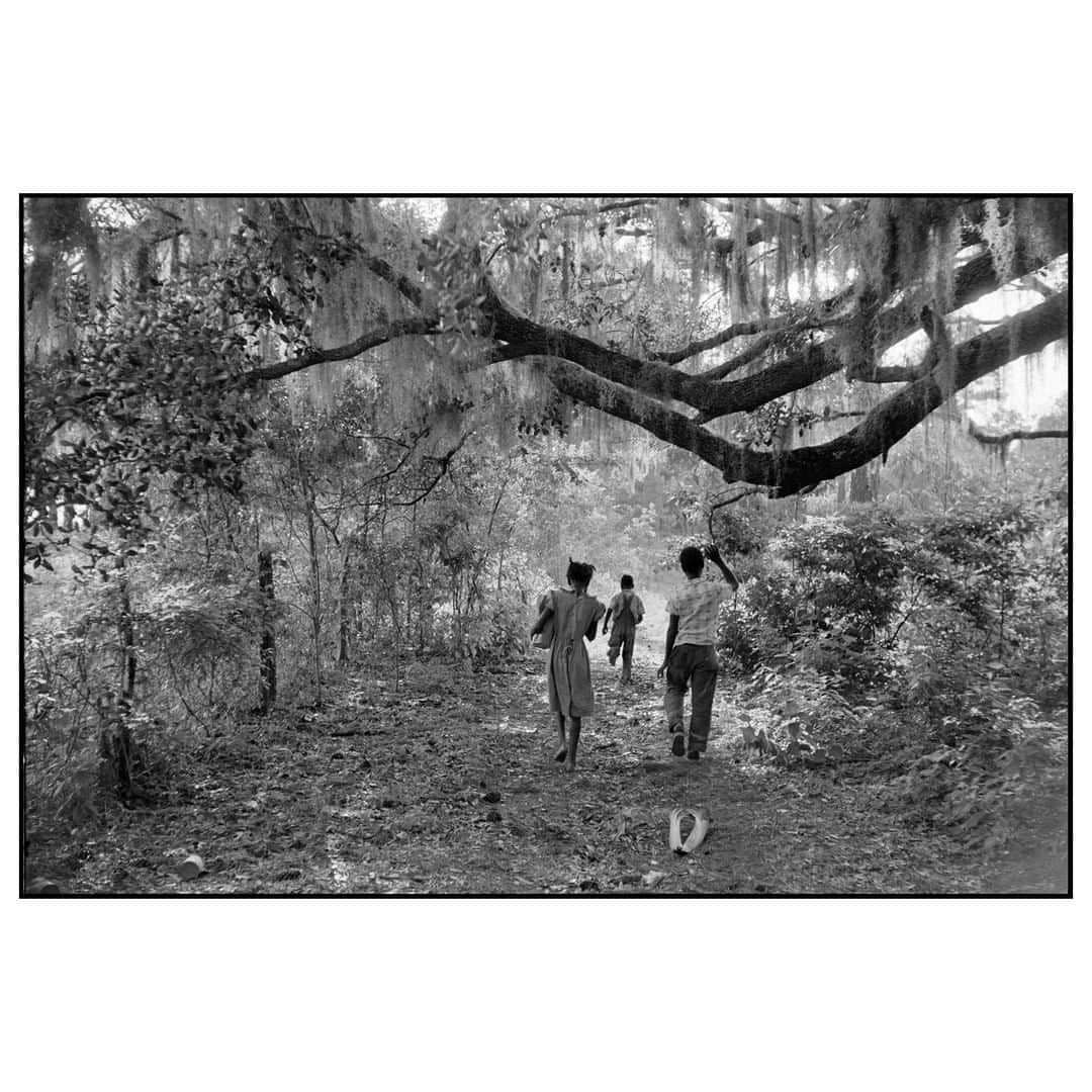 Magnum Photosさんのインスタグラム写真 - (Magnum PhotosInstagram)「"In 1952, at 18 years old, I hitched a ride on a boat to Daufuskie with my new Leica and made the first serious pictures of my life, of which I am still proud. The first picture of mine that stands out from that trip is of children running beneath a tree covered in Spanish moss." - Constantine Manos . From his early photographs on Daufuskie Island off the coast of his native South Carolina, Constantine Manos’ career has taken him to villages in Greece and to the worlds of blue collar America in Florida and California. . We speak to Manos about the evolution of his practice on Magnum today. See link in bio. . PHOTO: USA. South Carolina. Daufuskie Island. 1952. Kids playing in the backyard. . © #ConstantineManos/#MagnumPhotos」6月17日 23時01分 - magnumphotos