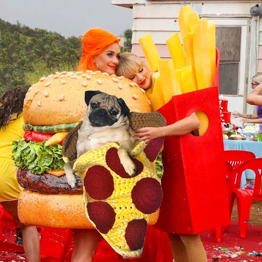 itsdougthepugさんのインスタグラム写真 - (itsdougthepugInstagram)「“A VERY happy meal” -Doug • @taylorswift @katyperry」6月17日 23時02分 - itsdougthepug