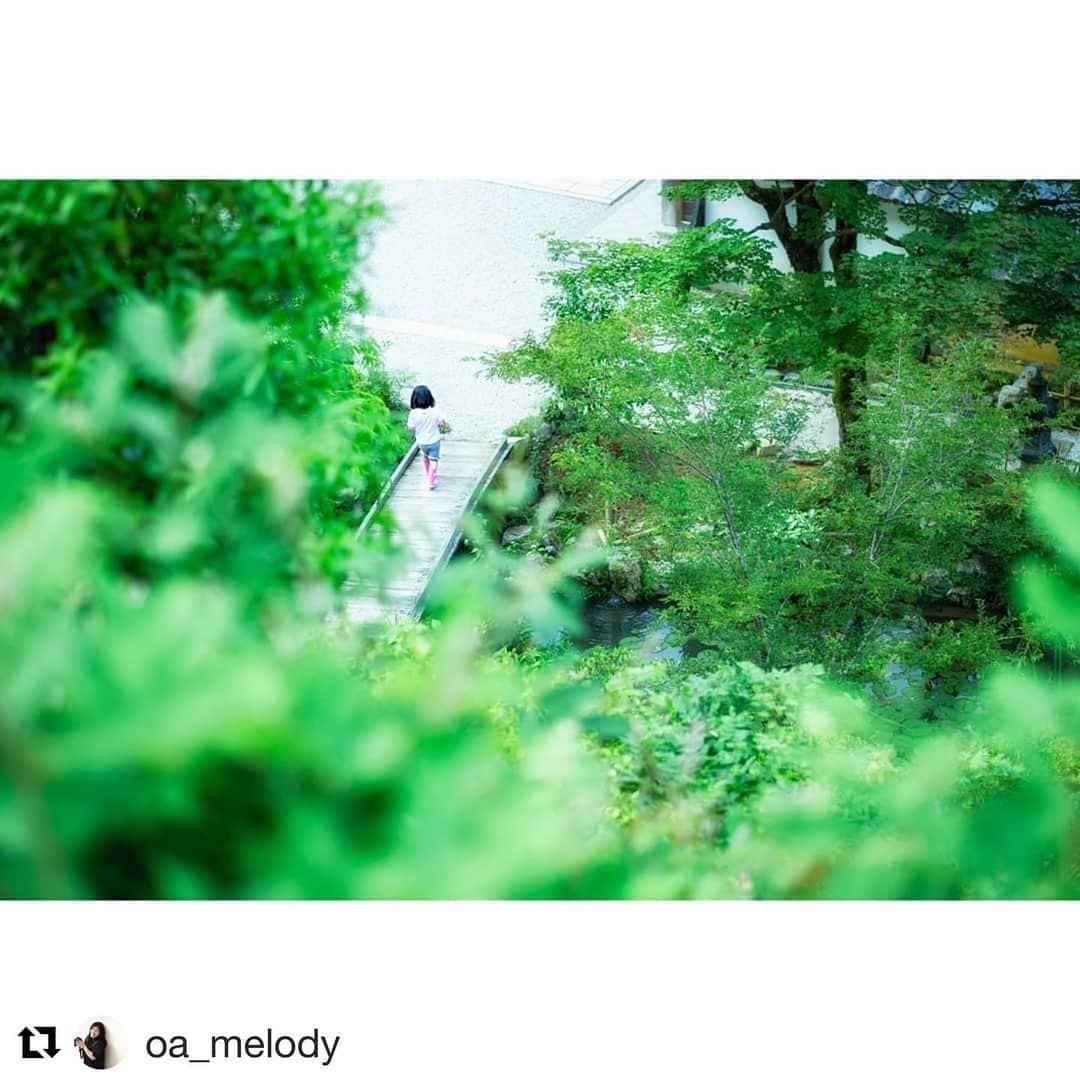 Gero City【下呂市公式アカウント】さんのインスタグラム写真 - (Gero City【下呂市公式アカウント】Instagram)「#Repost @oa_melody with @get_repost ・・・ ヤッホー叫びまくる娘山を降りる⛰️ #love_nippon #kidsgram_tokyo #東京カメラ部 #tokyocameraclub #カメラ好きな人と繋がりたい  #外遊び #おにごっこ #かくれんぼ #新緑 #緑 #子ども #kidsgram #子育て #育児 #3才  #かわいい  #春 #夏  #kids #kids_japan #自然 #橋 #庭 #日本 #文化  #下呂アンバサダー #gerostagram #写真好きな人と繋がりたい」6月17日 23時03分 - gerostagram