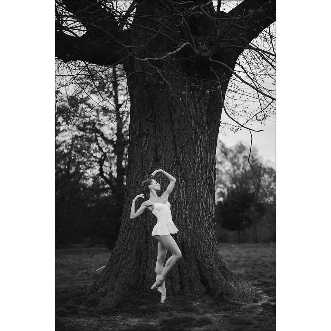 ballerina projectさんのインスタグラム写真 - (ballerina projectInstagram)「Iana Salenko in Kensington Gardens. #ballerina - @iana_salenko #kensingtongardens #london #ballerinaproject #ballerinaproject_ #ballet #dance #pointe #ianasalenko  With the upcoming conclusion of the Ballerina Project limited edition prints will be only available for purchase until the beginning of July 2019. Link is in our Instagram profile to purchase one today.  The Ballerina Project book is now available for pre-order. Go to @ballerinaprojectbook for pre-order link and info. #ballerinaprojectbook」6月17日 23時03分 - ballerinaproject_