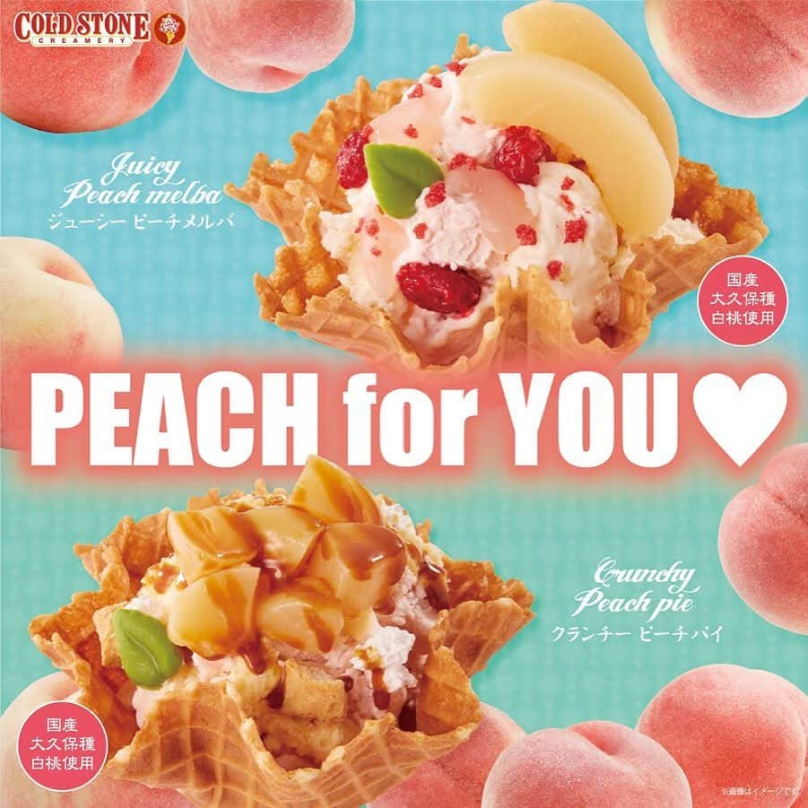 コールド・ストーン・クリーマリー・ジャパンさんのインスタグラム写真 - (コールド・ストーン・クリーマリー・ジャパンInstagram)「PEACH for YOU🍑♡ . . 本日から国産白桃(大久保種)を使用した『ジューシー ピーチ メルバ』『クランチー ピーチ パイ』を発売🍑✨ . . ▼ジューシー ピーチ メルバ ピンクピーチアイスクリーム フレンチバニラアイスクリーム ラズベリー ピーチジュレ 国産白桃 ラズベリーチップ リーフチョコ . 今年で4年目のピーチメルバシリーズ🍑 国産白桃を大きめにカットし、ジューシーに楽しめるよう仕上げました☺️ . . ▼クランチー ピーチ パイ ピンクピーチアイスクリーム カスタードプリンアイスクリーム ホイップクリーム ミニパイ 国産白桃 キャラメルソース リーフチョコ . パイのサクサク食感を残しつつ、仕上げにキャラメルソースをかけて甘〜い桃スイーツに仕上げました🍑 . . . 両方とも 1サイズ・ワッフルボール付き♡ ¥680🍑 . . #coldstone #コールドストーン #アイスクリーム #アイス #スイーツ #アイス部 #アイスタグラム #カフェ #カフェ巡り #カフェ部 #カフェスタグラム #今日のアイス #きょうのアイス #本日のアイス  #クレープ #シェイク #東京グルメ #東京スイーツ #東京カフェ #東京カフェ巡り #夏 #ピーチ #桃」6月17日 23時06分 - coldstonejapan