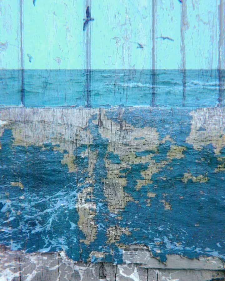 Tea and sittingのインスタグラム：「🕊💦🐟...A collage of blue with added seagulls... ( tap for seaside sounds ) 🌀 #texturelover #movingtextures #blueonblue #soundscapes #sensorycollecting #consciouscreativity #multiexposure」
