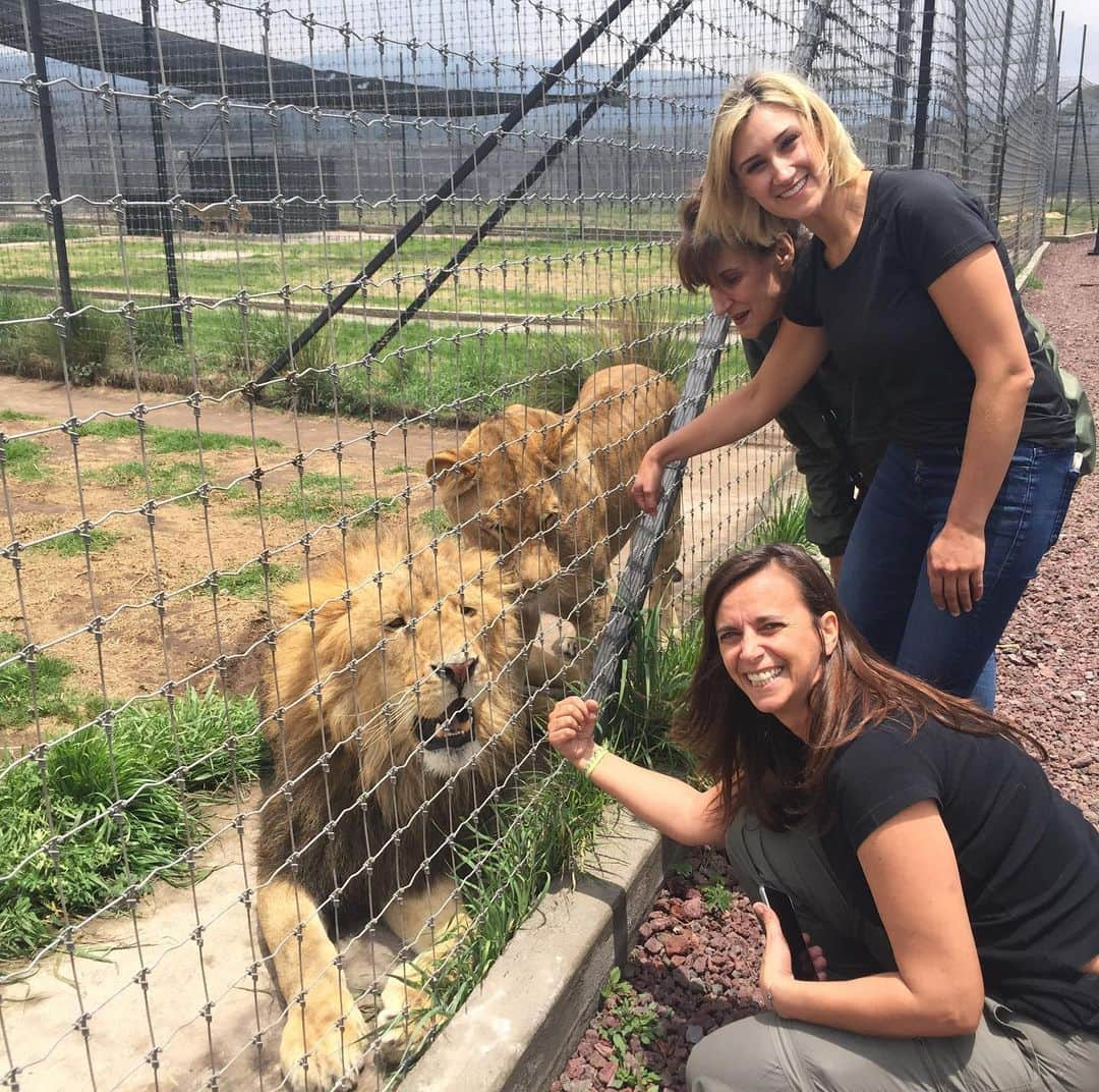 Black Jaguar-White Tiger さんのインスタグラム写真 - (Black Jaguar-White Tiger Instagram)「Our 3 Lovely Volunteers spending some time with Galileo and Caramelo. I got to say hi to them from a distance for obvious reasons, but if you scroll to the third picture, you’ll see that Miss Tony and I already met outside @ilpastaio_bh in LA some years ago. The first lady on the first picture came for a week all the way from Portugal. What an Honor to meet such Lovely ladies if even for 10 minutes, they spent the rest of their time with the kids... #ThankYou」6月17日 23時40分 - blackjaguarwhitetiger