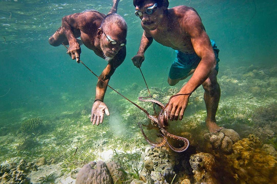 National Geographic Creativeさんのインスタグラム写真 - (National Geographic CreativeInstagram)「Photo by @coryrichards | A Bajo elder of Sampela and his son spear fish for octopus on a reef in Sulawesi Island, Indonesia. #Indonesia #Underwater」6月17日 23時43分 - natgeointhefield