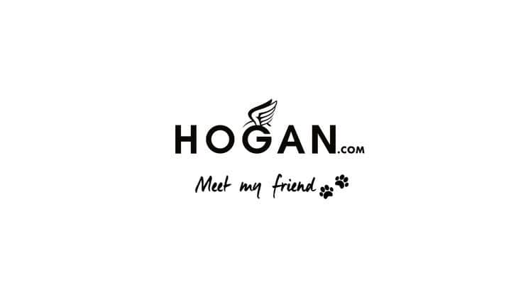 のインスタグラム：「Surrounded by her beloved #HOGAN women's #H449 #sneakers  Shop #HoganSneakers on HOGAN.COM - link in bio」