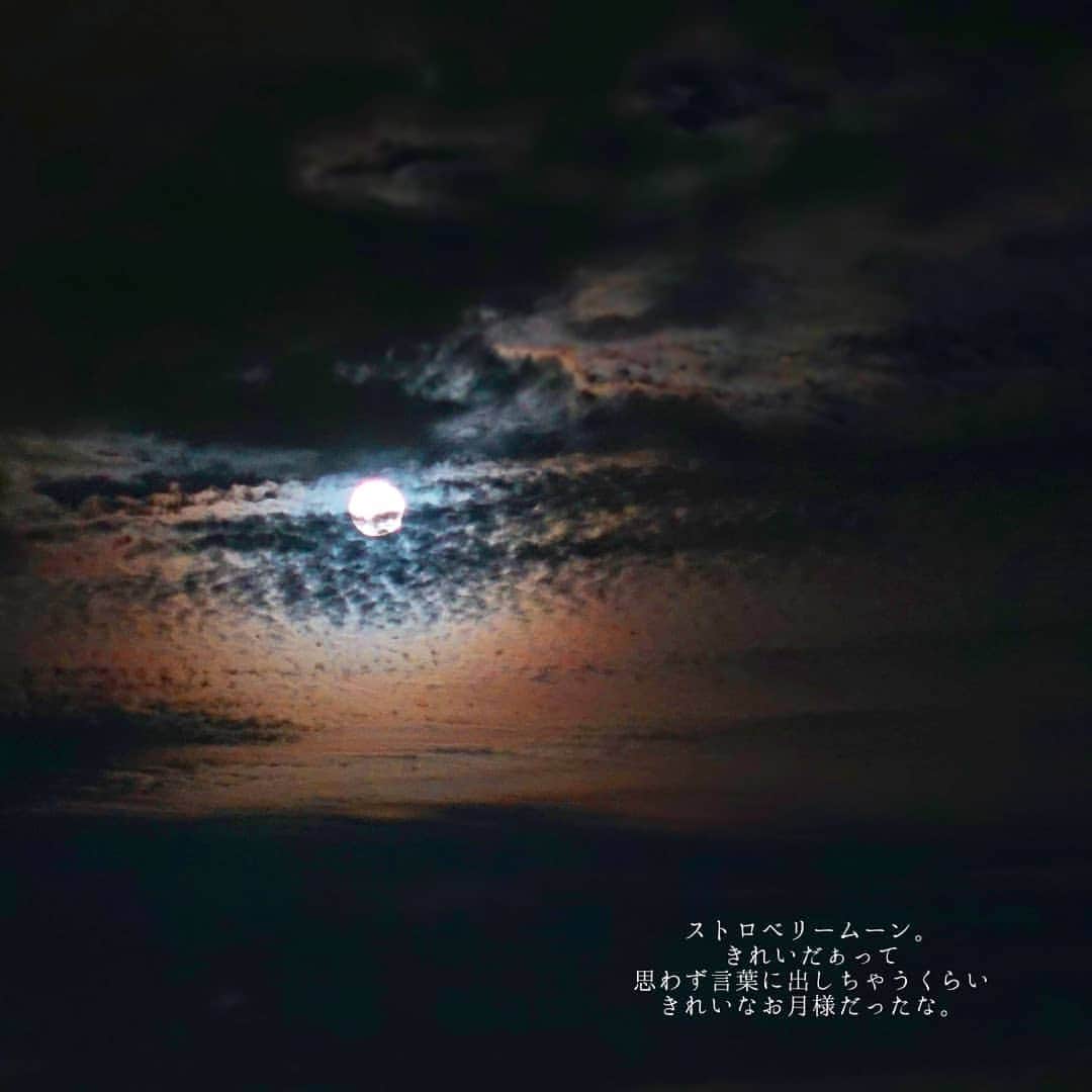 なっつ。さんのインスタグラム写真 - (なっつ。Instagram)「🌝 #ストロベリームーン さっきちょうど雲の隙間から見えたとき 月の光が雲に映し出されて グラデーションが ほんと神秘的で、 すごくすごく綺麗だったのに、 写真におさめると 腕のなさで神秘的が半減してしまう。  でもやっぱり綺麗だったな っていう想いは残しておいたら また思い出せるだろうなって いうので載せておく(笑) . 遅くまで毎日まいにち頑張ってるとぅちゃん。 どうか体だけは無理せずにって思う。 #ごはん出してソッコー寝る妻を許しておくれ😇 #おやすみなさい💤 ・ ・ ・ #月#moon#strawberrymoon#空#sky#beautiful#カメラ好き#東京カメラ部#イマソラ#ファインダー越しの私の世界#IGersJP#team_jp_#indies_gram#phos_japan#skylover#空好きな人と繋がりたい#いまそら#igで繋がる空#team_jp_skyart#photogenic#colors_of_day#ig_photostars#loves_united_life#ig_world_colors#なっつのイマソラ」6月18日 0時07分 - punipopo