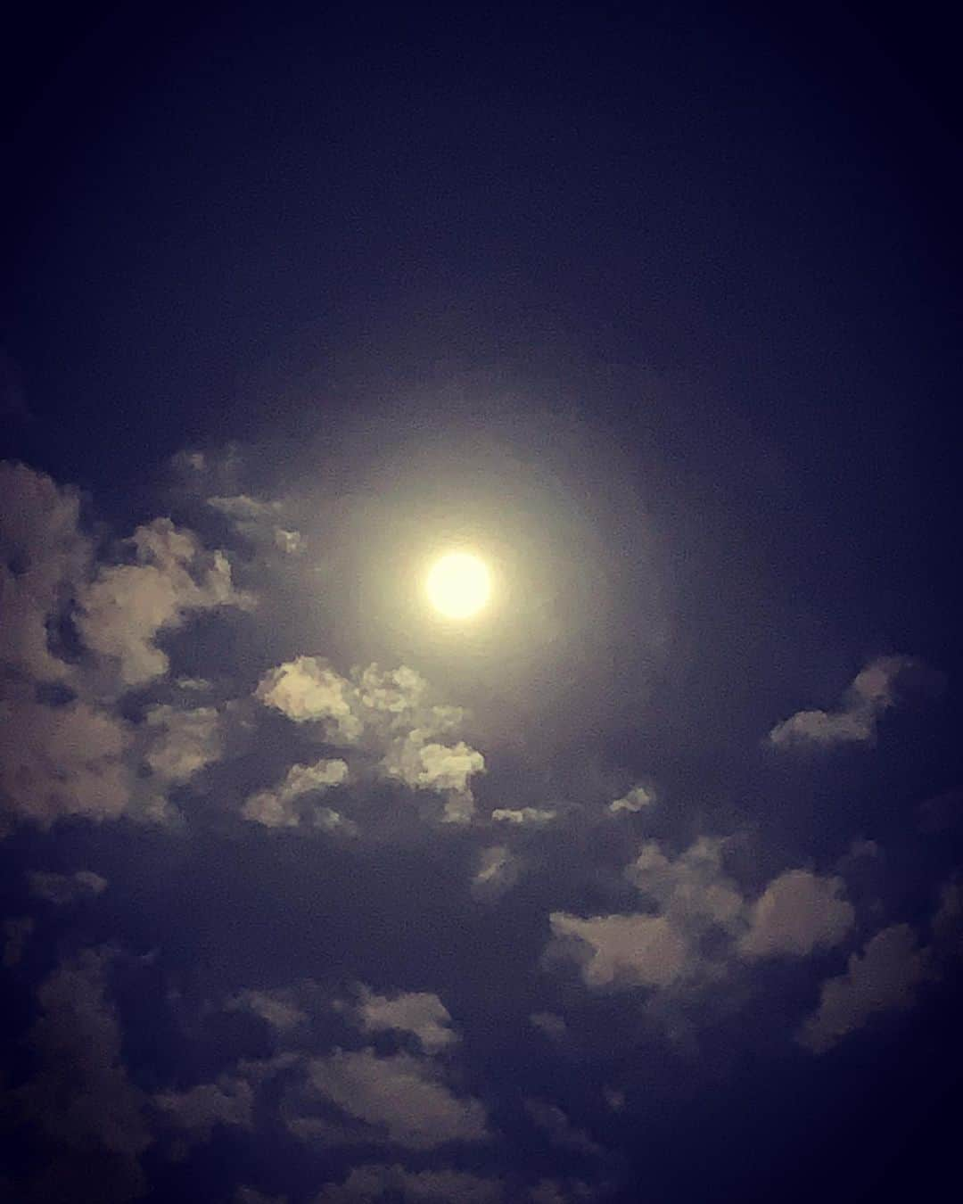 出雲阿国さんのインスタグラム写真 - (出雲阿国Instagram)「最高の 射手座満月🌕♐️ 絵画のよう。  私の幸せってこういうこと。  #射手座満月 #ストロベリームーン  #ずもさん #ずも姉 #出雲阿国」6月18日 0時19分 - izumonookuni