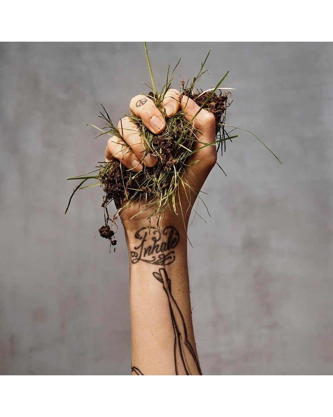 Loeweさんのインスタグラム写真 - (LoeweInstagram)「#LOEWESS20 Campaign Taken from a new series titled ‘A Show of Hands’ to be released later this year, #StevenMeisel’s image of a tattooed fist grasping a grassy clump of earth improvises upon a symbol of protest for today’s turbulent times.  Creative Direction @jonathan.anderson  #LOEWE #ParisFashionWeek #PFW #Menswear」6月18日 0時36分 - loewe
