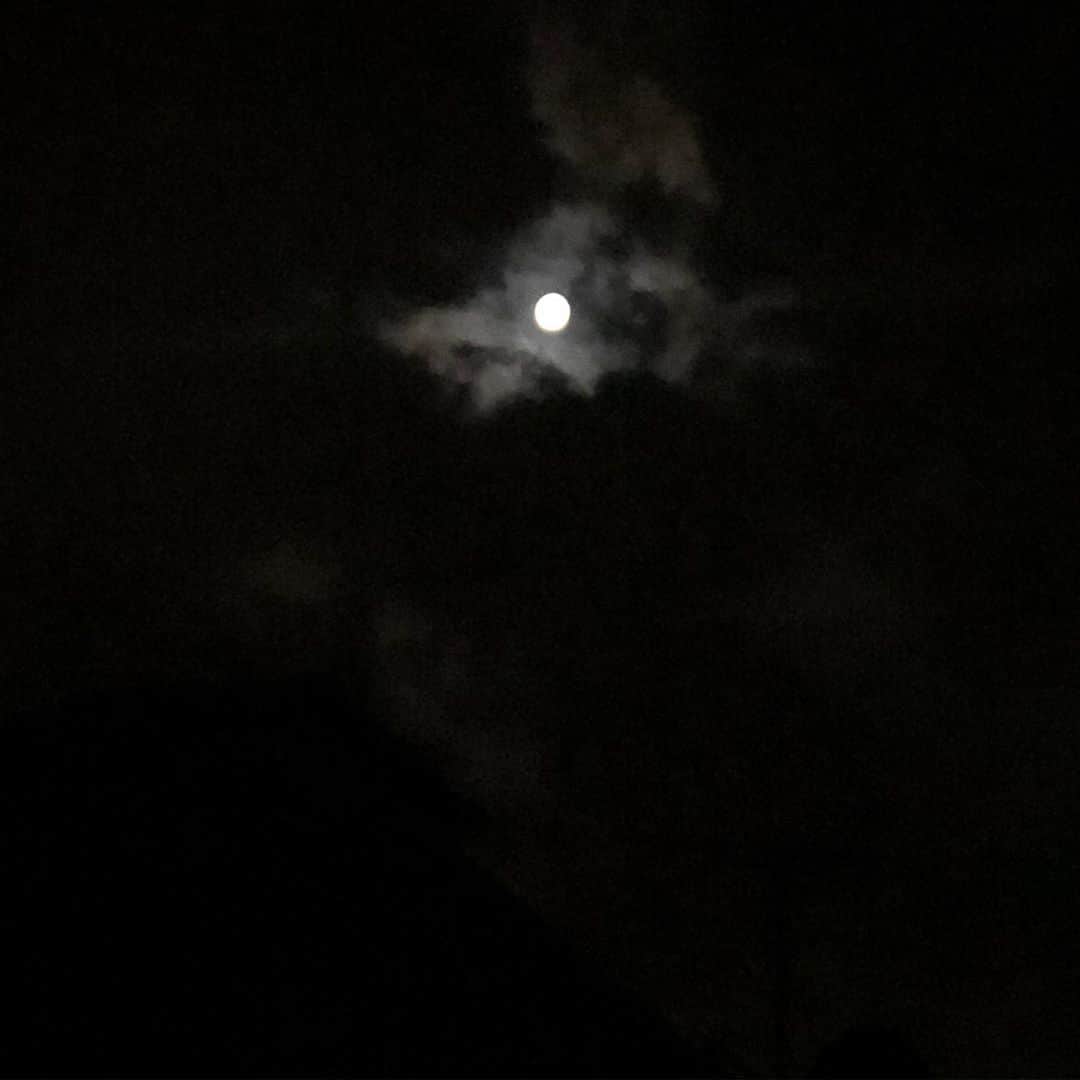 松田岳二さんのインスタグラム写真 - (松田岳二Instagram)「Moon is mineをふんふん歌いながら歩いて帰ってきた。途中でWalking after midnightにメロディ変わったよ」6月18日 1時46分 - cbsmgrfc