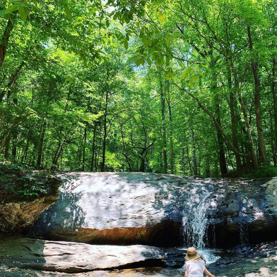 ジェームズ・ヴァン・ダー・ビークさんのインスタグラム写真 - (ジェームズ・ヴァン・ダー・ビークInstagram)「Found a happy place 💚」6月18日 1時44分 - vanderjames