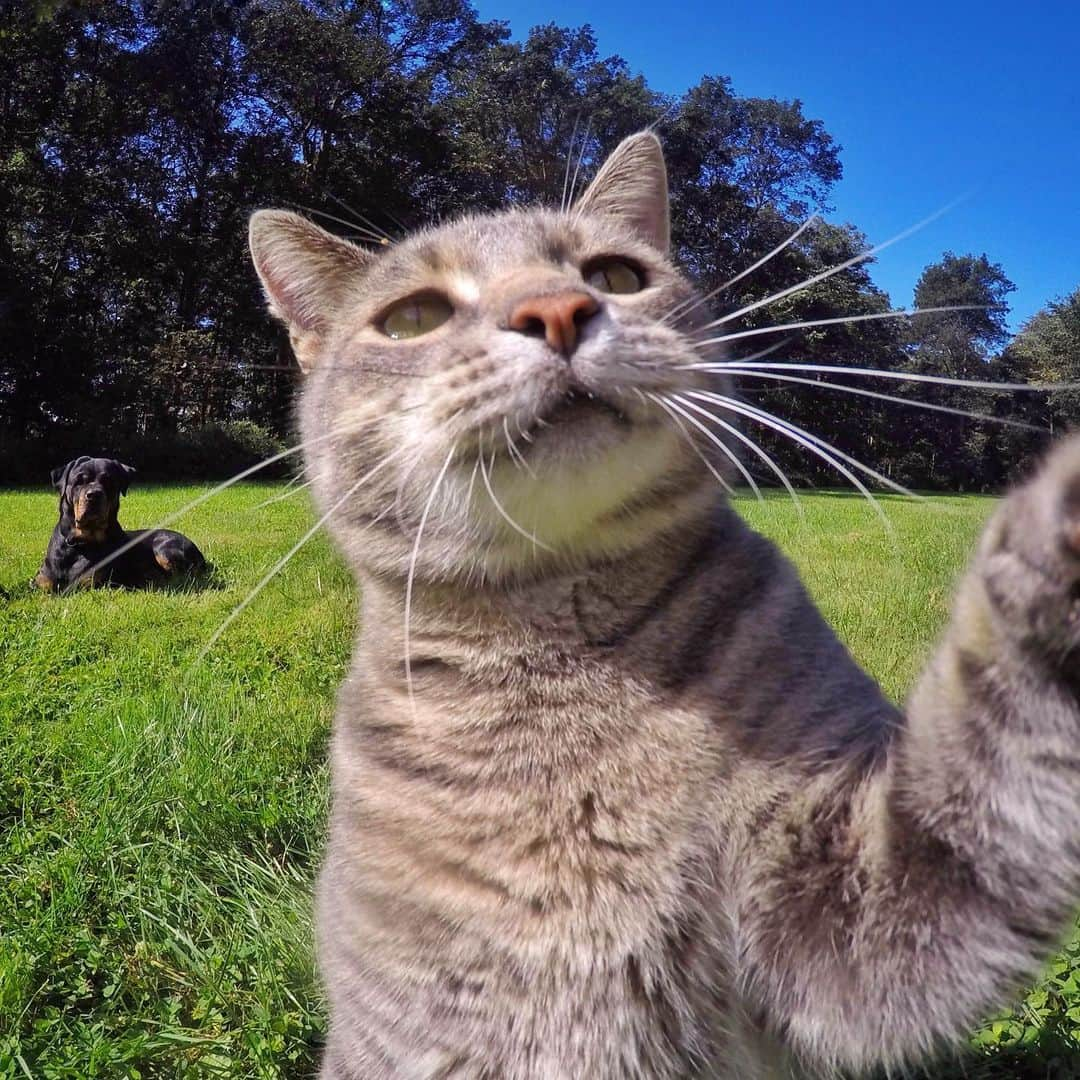 マニーのインスタグラム：「Hi」