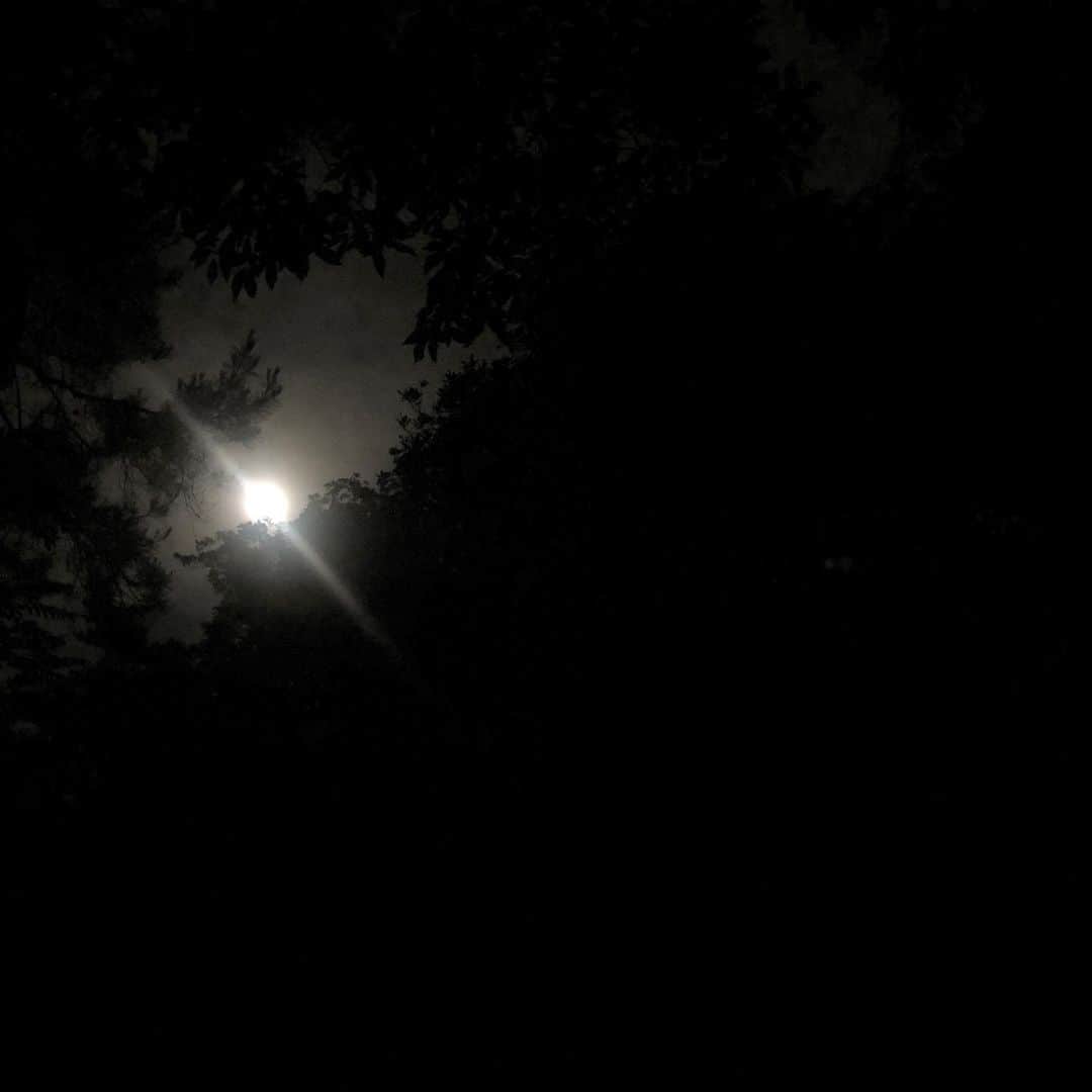 佐山愛さんのインスタグラム写真 - (佐山愛Instagram)「❤︎ ・ なんか今日の満月はやけに綺麗だなぁ なんて思ってたら、 ストロベリームーン🍓という満月だったのね。 ・ 夜景を観ようと変なとこ入ったら ただただ森だし木に覆われたとこは ほんと真っ暗すぎて怖かったけど、 木の隙間からスッと照らしてくれる ストロベリームーンに救われた☪ ↑言いたいだけ笑 ・ ・ ていうか最近多いね、なんちゃらムーン。 ・ 佐山的になんちゃらムーンの中で 一番好きなのはセーラームーンです。 ・」6月18日 2時45分 - ai_sayama0108