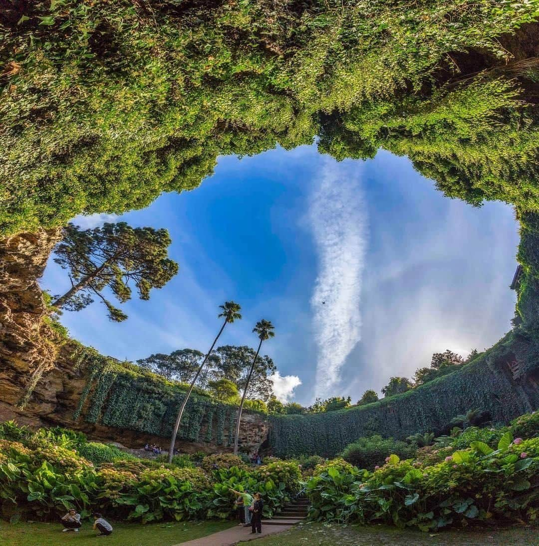 Australiaさんのインスタグラム写真 - (AustraliaInstagram)「Let us show you a hole new world at @southaustralia’s #UmpherstonSinkhole 🌳 @michaelwaterhousephotography recently visited this lush #SunkenGarden in the @tourism_mount_gambier region, where it used to be a limestone cave until the top of the chamber collapsed downwards. It is now a stunning garden open for public visits, with viewing platforms at the top of the sinkhole and lovely terraces within the hole behind the hanging vines. TIP: Stay around till sunset and watch the resident colony of possums come into the garden to feed on the plants and fruit.  #seeaustralia #seesouthaustralia #mountgambier #travel #explore」6月18日 4時00分 - australia