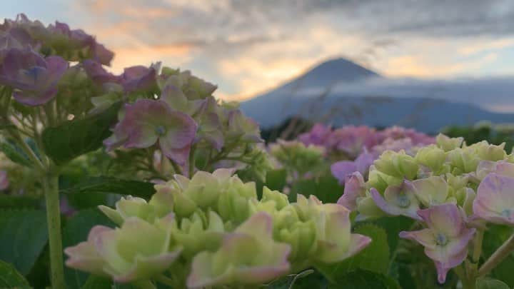 phantastic420のインスタグラム：「. 🤩🤩“Shizuoka” prefecture in Japan is a place where you can see the most “phantastic” Mt. Fuji🗻 in the world.🤩 #富士山 #mtfuji #japan #shizuoka #fujinomiya  #phantastic420photography #mostphantasticmtfuji #selamatpagi  #goodmorning  #おはようございます 😇😇😇😇😇😇😇🗻😇😇 今朝も良い朝でした😍🤩😋」