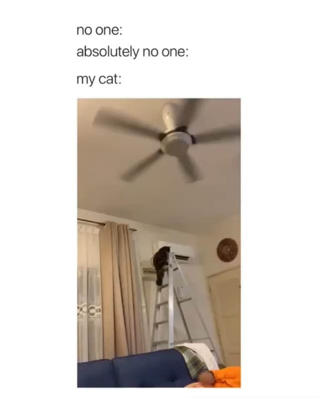 Funny Postsのインスタグラム：「••••••••••• 😂 Me, trying to keep my grades up 💬 Video by: @zizyezreen 🎥 Double tap for more videos!」