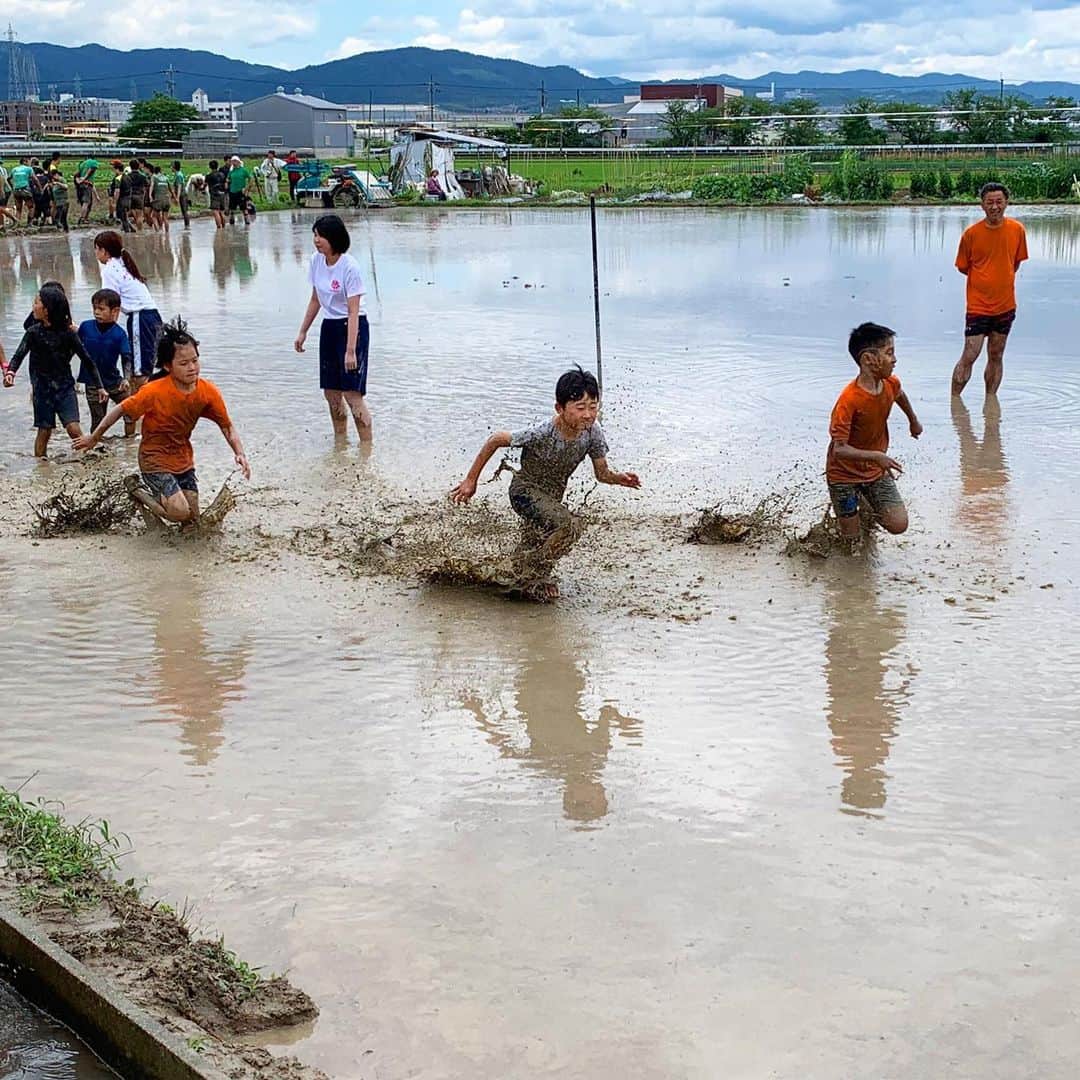 のインスタグラム：「. 【トロフィーツアー🏆京都 レポ】 . 京都で行われた「田んぼラグビー」 豪快なダイビングトライが披露されると、観客から大きな歓声が🙌 . 年齢性別関係なく、だれでも楽しめます🎵 . #RWC2019 #Rugby #Rugbygram #Sport #Kyoto #RiceField #Exciting #ラグビー #田んぼ #水田 #京都」
