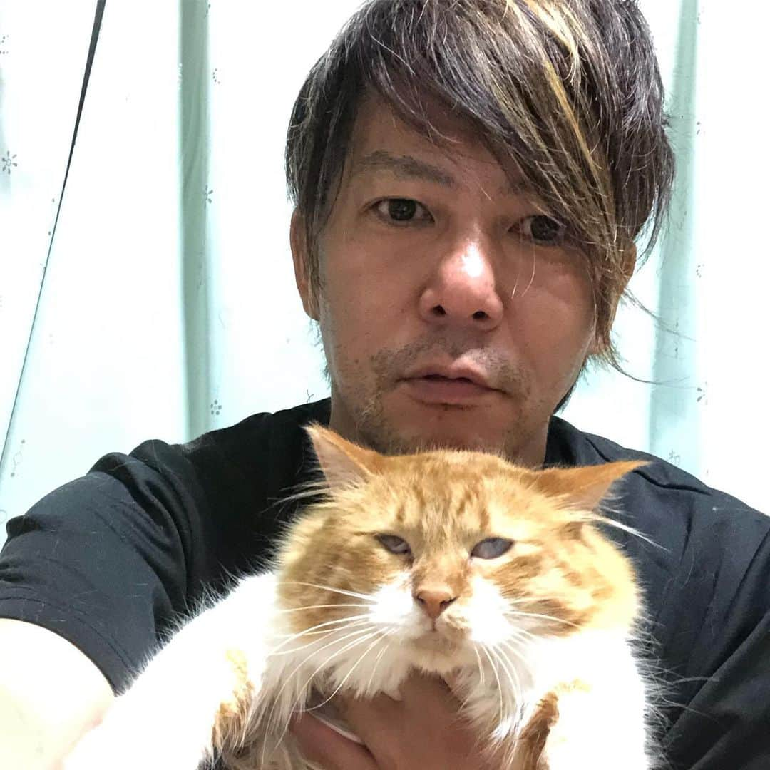 REIJIさんのインスタグラム写真 - (REIJIInstagram)「さっぱりした2人。  #ひめ #ロビン #サスケ #るーるー #cat #cats #catstagram #meow #meowstagram #nyanstagram #にゃんすたぐらむ #ねこ #ねこ部 #ねこあつめ #ふわもこ部 #ねこ好き #おじさんと猫 #ねこばか #ねこのいる生活 #シャムミックス #茶トラ #猫 #保護猫 #多頭飼い」6月18日 15時58分 - reiji_kimura