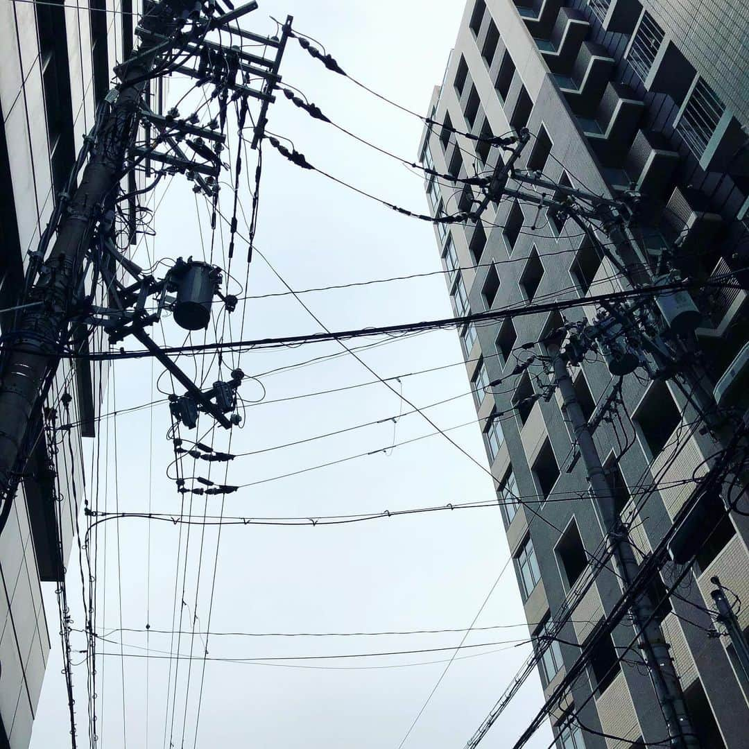 岡田育さんのインスタグラム写真 - (岡田育Instagram)「Telephone wire Long black line Telephone wire Finely threaded sky #funhomemusical #saysomething . . #Kyoto #京都 #電線 #ファンホーム #また観たいな #柱華道」6月18日 8時37分 - okadaic