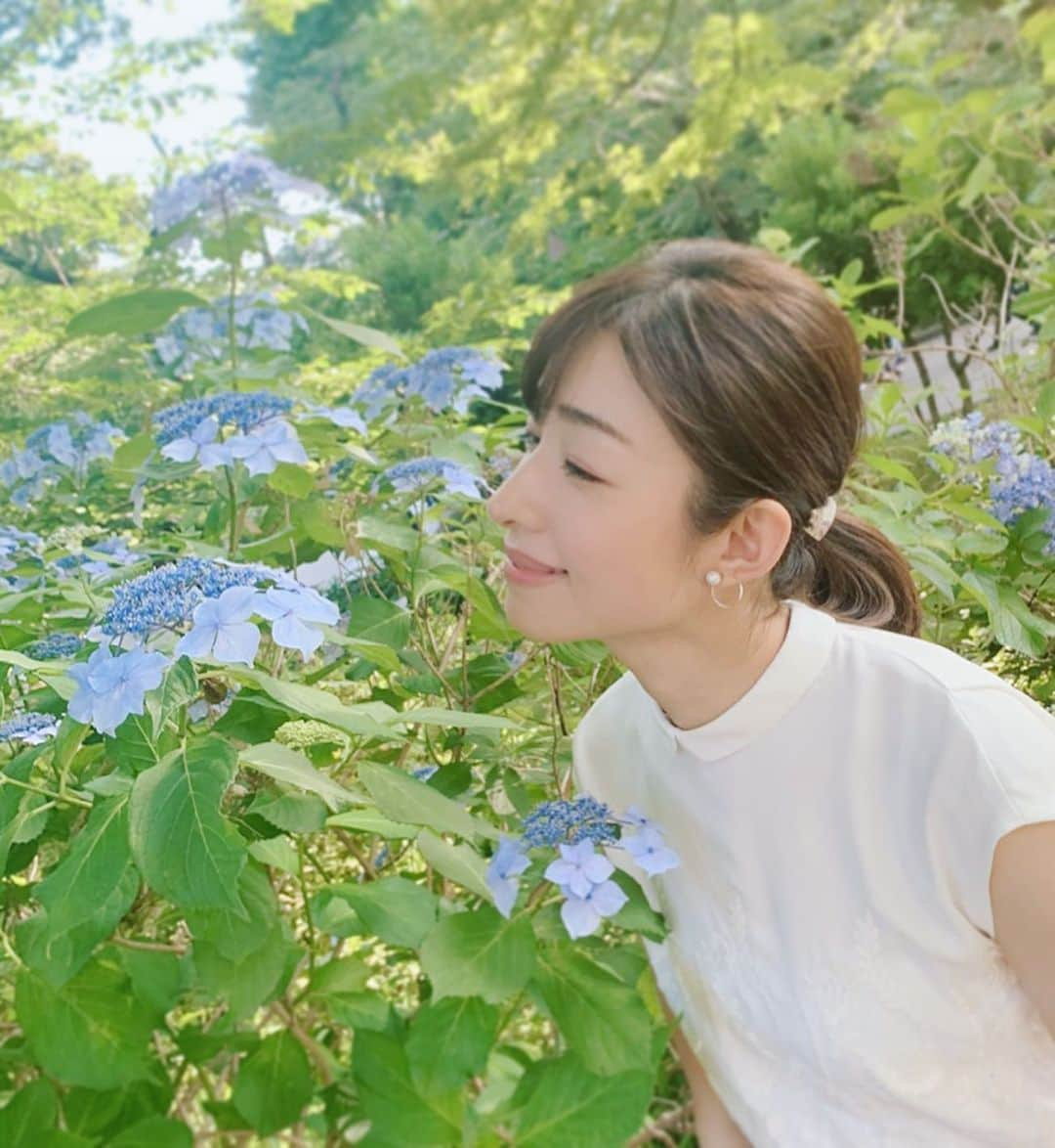 森木美和さんのインスタグラム写真 - (森木美和Instagram)「梅雨の季節は緑もイキイキ☺️✨ ﻿ ﻿ 空気も浄化されて、草木も喜んでるね☺️☂️☂️ ﻿ ﻿ 今日もいい天気☺️☀️﻿ ﻿ ﻿  #紫陽花#梅雨 #癒し#上野#上野散歩#撮影#model#旅行#trip#梅雨の晴れ間」6月18日 8時52分 - miwamoriki