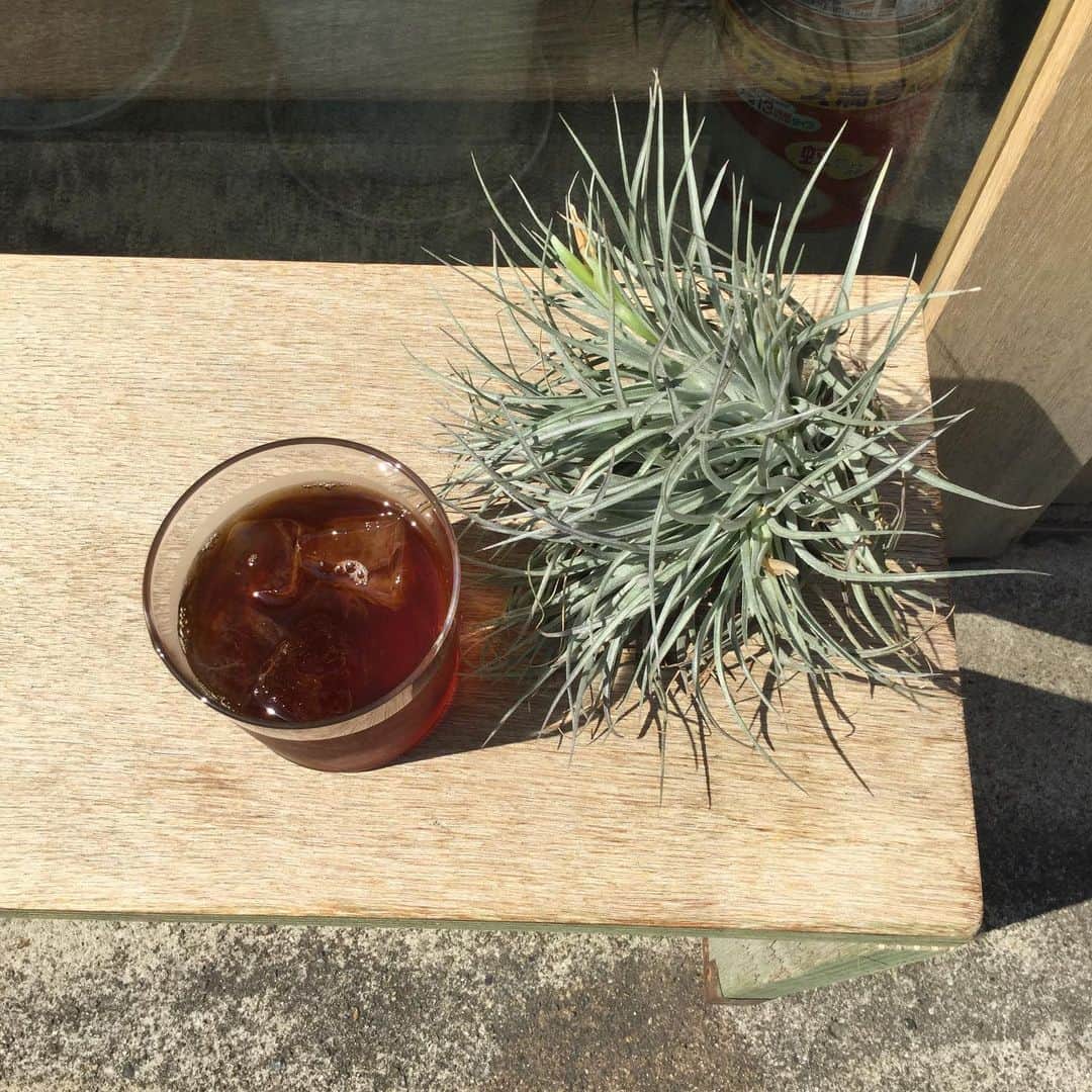 HeyCoffeeのグルメインスタ