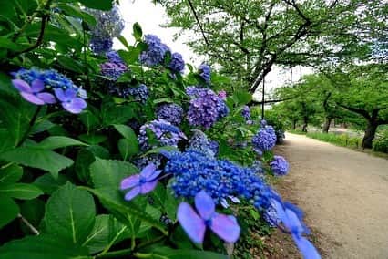 牧野誠三のインスタグラム
