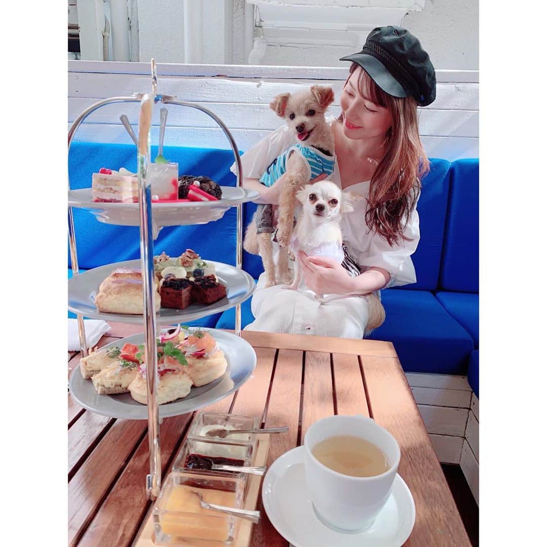 堀尾実咲のインスタグラム：「🐻🐰🍰🧁🥧🍮☕️ #afternoontea #アフタヌーンティー」