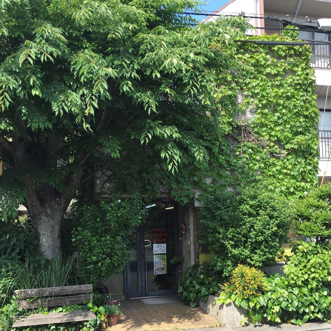 偕成社さんのインスタグラム写真 - (偕成社Instagram)「【こどもの本屋さんにいこう！】全国の児童書専門店の店主の方に、お店の紹介から本のえらびかた、近所のおすすめスポットまで教えてもらう連載、第6回目。  今回は、兵庫県加古川市「子どもの本 ジオジオ」。 長く枝を伸ばした木々の葉に隠れるように在る扉に書かれた赤い「ジオジオ 子どもの本」の文字。  きっとここに運命の一冊があるに違いない！そう思わせてくれるような素敵な外観のおみせです。  お話を伺ったのは現店主の江草ミス子さん。本と子どもが大好きだったという故・元治さんとともにはじめて、この地で30年以上の歴史のあるお店です。  くわしい記事は @kaiseisha_pr のリンク先の最新記事からご覧ください！  #偕成社 #ジオジオ #子どもの本ジオジオ #子どもの本専門店 #児童書専門店 #子どもとおでかけ #こどものいる暮らし #こどもとおでかけ #加古川市 #兵庫県 #本屋 #本屋好き #書店」6月18日 10時37分 - kaiseisha_pr