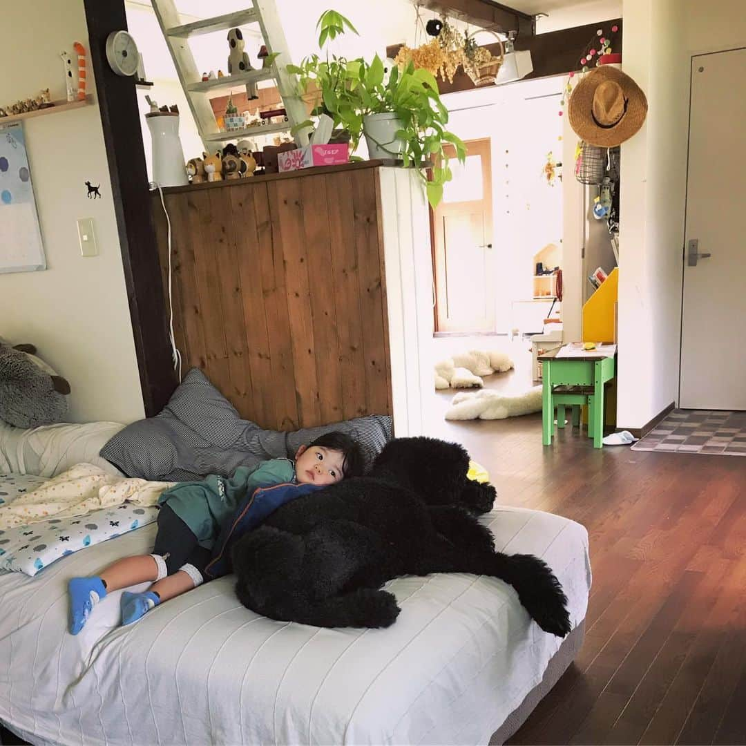 たまねぎさんのインスタグラム写真 - (たまねぎInstagram)「. . 外出中にスマホが鳴った。 まめちゃんママからだった。 スマホを開けた瞬間 涙が出そうになった。 なんて幸せな風景なんだろう。 一気に元気充電完了！ さあ、頑張ろう！！ . . お誕生日投稿に、たくさんのお祝いコメントありがとうございました(o^^o) 皆さんも一緒にまめちゃんの成長を見守ってくださっているのだなぁ、ありがたいなぁとジーンときてしまいました(T-T) いつも本当にありがとうございます😊 . . #standardpoodle #dog #blackpoodle #poodlesofinstagram #スタンダードプードル #大型犬と子供 #poodle #dogstagram #east_dog_japan #いぬのいる生活 #もふもふ部 #わんこ部 #子どもと犬  #kidsanddog #ママリ #キズナ #コドモノ #いこーよ #いぬのきもち #犬と暮らす #いぬなしでは生きていけません #ふわもこぶ部 #3歳 #添い寝 #いつもの風景」6月18日 10時44分 - tamanegi.qoo.riku