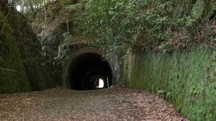 三浦絵里菜のインスタグラム：「《初めての武庫川》 トンネル3つ越えて、てくてく岩場へ🏃‍♀️ 初めましての大猿回し🐵 1撃出来そうだなー、でも流石に出来ないだろーな と思いつつトライしたら登れた😂 すごく登りが雑だけど。 すごく面白かった。 そのあと猿の神🐒をやってみたけど、 まだまだパワーが足りなかった🤷‍♀️ 久しぶりに岩に行けて満足☺️ #動画編集してもらった  #武庫川 #大猿回し  #満月見ながら猿の神  #帰り道真っ暗  #内心心臓バクバク」