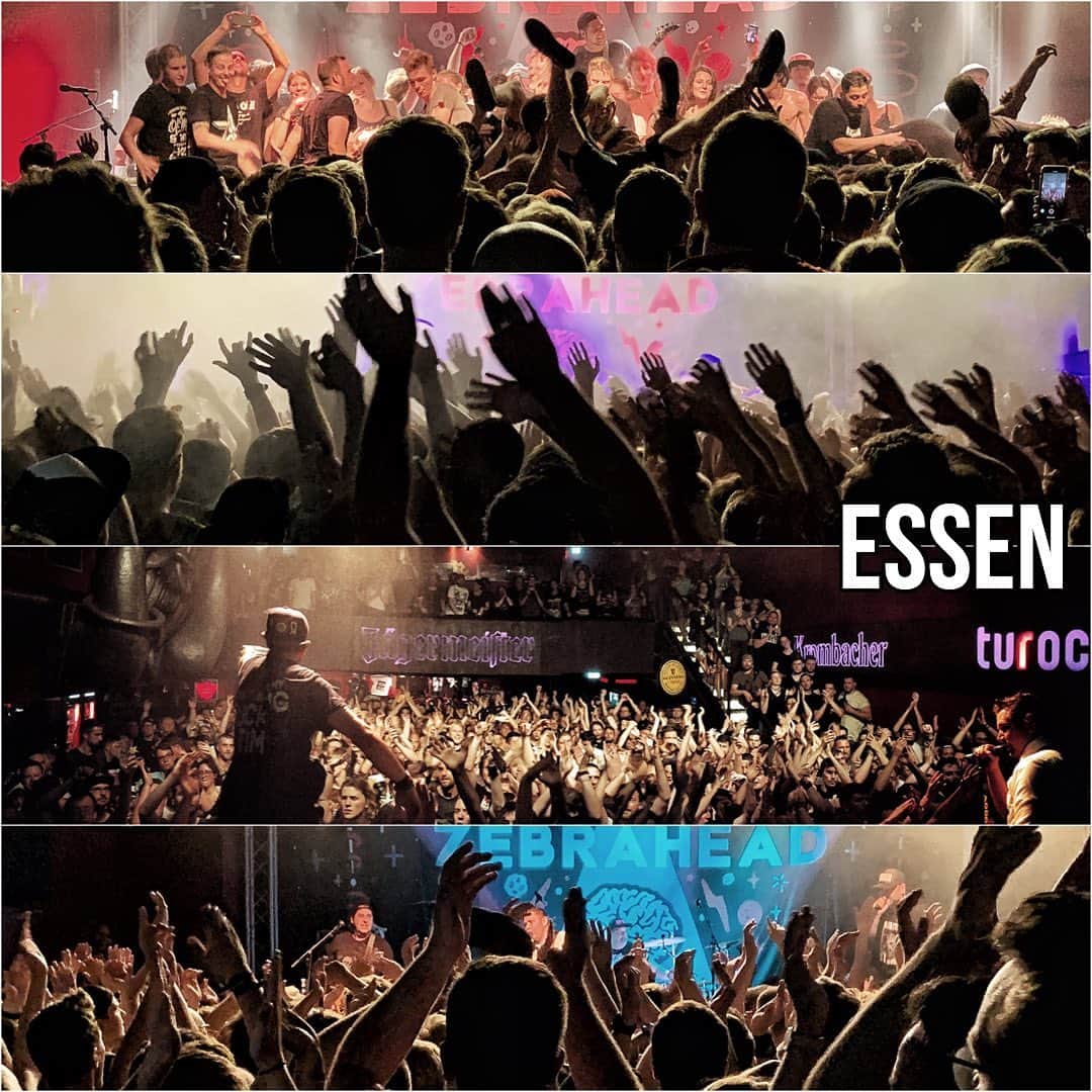 Zebraheadさんのインスタグラム写真 - (ZebraheadInstagram)「A little recap of Essen tonight!! @turock_essen #Zebrahead #braininvaders #turockessen」6月18日 11時22分 - zebraheadofficial