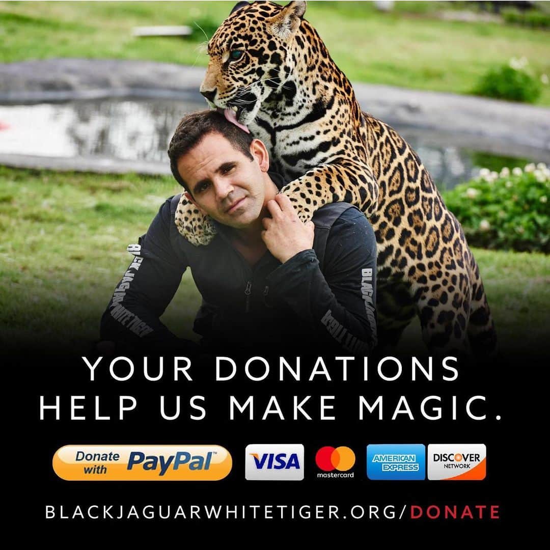 Black Jaguar-White Tiger さんのインスタグラム写真 - (Black Jaguar-White Tiger Instagram)「#ThankYou #Gracias」6月18日 11時16分 - blackjaguarwhitetiger