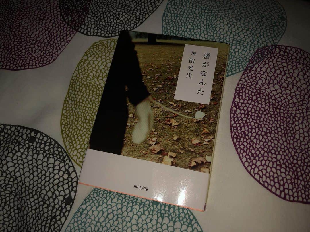 土井コマキのインスタグラム：「やっと原作を読み終わった。映画よりも重かった。苦しくて途中でちょっと読むのを止めてしまった。 自分の輪郭を確かめるために、人は人を求めるのかもしれない。 #土井文庫 #愛がなんだ」