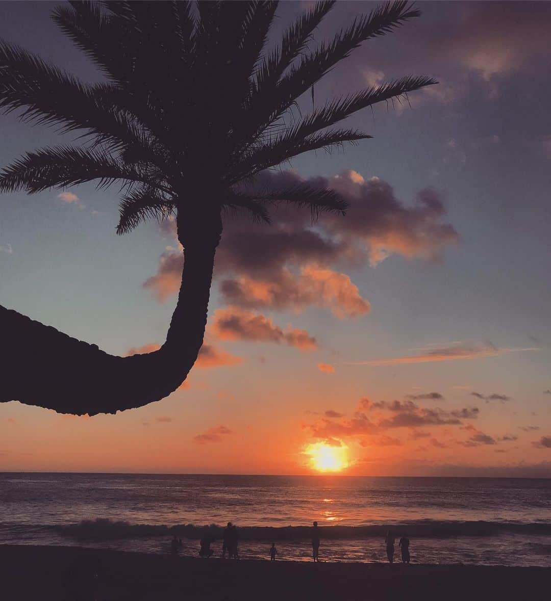 Aloha Street アロハストリートさんのインスタグラム写真 - (Aloha Street アロハストリートInstagram)「サンセットビーチで見る夕陽は力強さを感じました〜😊 変わった形のパームツリーと一緒にパチリ📷（ナオコ） #hawaii #sunset #sunsetbeachpark #ハワイ #サンセットビーチ」6月18日 17時03分 - alohastreetcom_hawaii