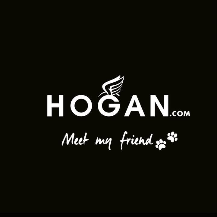 のインスタグラム：「Treats for two with the #HOGAN women's #H449 #sneakers  Shop #HoganSneakers on HOGAN.COM - link in bio」