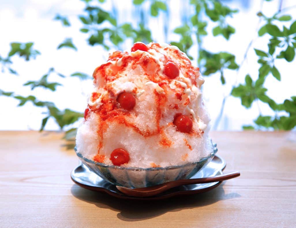 オズモール編集部さんのインスタグラム写真 - (オズモール編集部Instagram)「【かき氷の魅力を再発見🍧ひんやりおいしい東京の名物かき氷 vol.11】 ㅤㅤㅤㅤㅤㅤㅤㅤㅤㅤㅤㅤㅤ 野菜スイーツの名店「麻布野菜菓子」では、茄子やトマトなどの野菜を使用しためずらしいかき氷を味わうことができます。 ㅤㅤㅤㅤㅤㅤㅤㅤㅤㅤㅤㅤㅤ レモンと砂糖でコンポートしたミニトマトとさっぱりとしたトマトとコクのあるクリームチーズ、練乳の意外な組み合わせに、心躍ること間違いなし。 ㅤㅤㅤㅤㅤㅤㅤㅤㅤㅤㅤㅤㅤ 大きなサイズのトマトではなくミニトマトを使用することで、より糖度が高くフルーティーな味わいが楽しめるのだそう🍅 ㅤㅤㅤㅤㅤㅤㅤㅤㅤㅤㅤㅤㅤ 他にも「セロリのかき氷」や「アボカドのかき氷」の野菜かき氷をはじめ、「無花果のかき氷」や「ほおずきのかき氷」など珍しい組み合わせのかき氷がお目見え🥑 ㅤㅤㅤㅤㅤㅤㅤㅤㅤㅤㅤㅤㅤ また、2019年の新作の「茄子と赤ワインのかき氷」も見逃せません。 ㅤㅤㅤㅤㅤㅤㅤㅤㅤㅤㅤㅤㅤ 赤ワインでコンポートした茄子の果肉とペーストを、ふわふわのかき氷にたっぷりかけた新感覚かき氷です🍷 ㅤㅤㅤㅤㅤㅤㅤㅤㅤㅤㅤㅤㅤ 麻布十番駅から徒歩1分の和を感じさせるお店で、ユニークな野菜スイーツを堪能してみては？ ㅤㅤㅤㅤㅤㅤㅤㅤㅤㅤㅤㅤㅤ 「麻布野菜菓子」紹介ページはこちら https://www.ozmall.co.jp/sweets/kakigori/article/10480/ ㅤㅤㅤㅤㅤㅤㅤㅤㅤㅤㅤㅤㅤ @ozmall_editors  #オズモール #オズマガジン #東京女子部 #かき氷 #かき氷巡り #かき氷部 #カキ氷#かきごーらー #かきごおりすと #スイーツ好き #スイーツ女子 #かき氷好きな人と繋がりたい #スイーツ好きな人と繋がりたい#麻布カフェ#麻布野菜菓子 #スイーツ部 #わたしのかき氷キロク#スイーツ巡り#和カフェ」6月18日 12時06分 - ozmall_editors