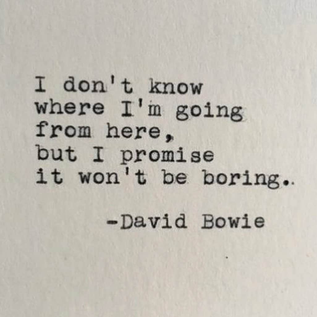 ジェイミー・キングさんのインスタグラム写真 - (ジェイミー・キングInstagram)「Goodnight 🌙 you are never boring my darlings 🌹 #davidbowie」6月18日 12時25分 - jaime_king