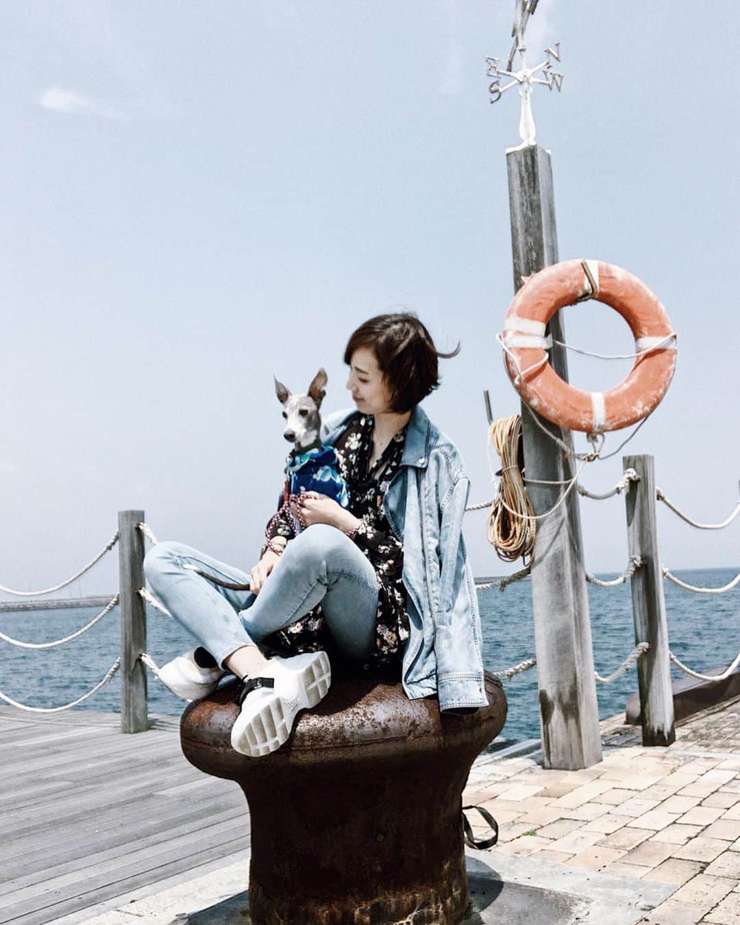 のインスタグラム：「* ******** Wherever he wants to go go go 💁‍♀️🐶 * ハウルの行きたいところへどこまでも！🏃‍♀️ 私も体力を維持せねば🤣💦 30歳を超えてからグッと疲れやすくなりましたが、なんとか持ちこたえているのはハウルとの散歩の時間のおかげだなと痛感しています。 ******** #イタグレ#イタリアングレーハウンド#italiangreyhound#dogstagram#イタグレとの暮らし#iggy#iggygram #iggylove#iggylife#いぬのいる暮らし#犬のいる暮らし#いぬバカ部#イタグレ服#iggysoftheworld #iggysofinstagram #dogsofig #dogsofinstagram #プチプラコーデ #犬好きな人と繋がりたい#オシャレさんと繋がりたい#犬服ハンドメイド#リンクコーデ#大分県#oita#おんせん県#おんせん県おおいた#おんせん犬おおいた #oitagram#oitaprefecture」