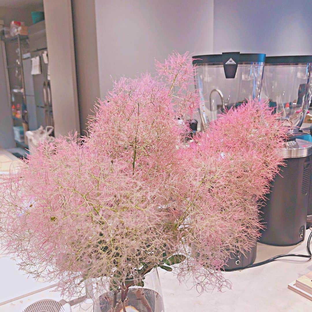 山根涼羽のインスタグラム