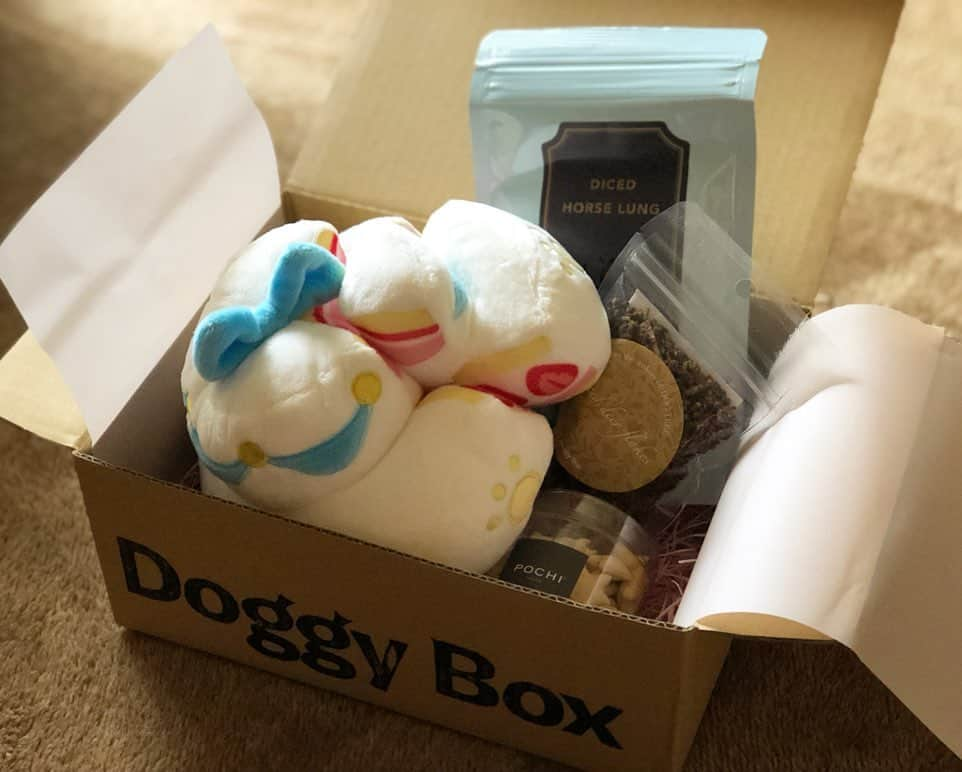 くるみさんのインスタグラム写真 - (くるみInstagram)「. doggy boxが届きました😆  @doggybox_jp  Doggy Boxは毎月新しいテーマで、ワンコのためのおもちゃとおやつが届くお楽しみＢＯＸ！ .  下町ではなかなか買えないおもちゃや安心でナチュラルなお菓子が小分けに（ここ大事！） なって届くので、ドナさんも飼い主もほんとに助かってます♪ .  近所のスーパーじゃ買えない美味しそうで安心なおやつ～♪ ご興味ある方はぜひ見てみて下さいまし。  今月のテーマはジューンブライドかな。  ①おもちゃ→　おっきなウエディングケーキ！（中に鳴き笛入り） 顎の強いドナさんも満足のフワフワと丈夫さ ②ローカロリークラッカーアロニア にゃんと生地に寒天が入っていて繊維質豊富なうえにローカロリー♪  ③ふりふり 鹿そぼろ　丹波産の鹿肉でドナさんの大好きDOG TREEのおやつ。ごはんにもトッピングしやすい！さらにDHA・EPAが豊富で、アレルギーを抑え、ガン予防に効果的だそう。 ④馬肺ダイス（あの、みちのくファームのおやつ♪軽い食感なのが嬉しい♪） . .  よいお品ばかりでしたので、ぜひチェックしてみてね～☺️☺️☺️ . . #ドギボ #doggybox」6月18日 12時58分 - kurukurukurumi222