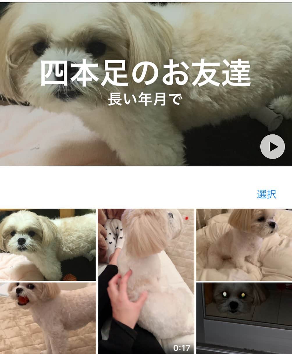 のインスタグラム：「#4本足のお友達 ↑この名前勝手になるけど、ほんとじわる。」
