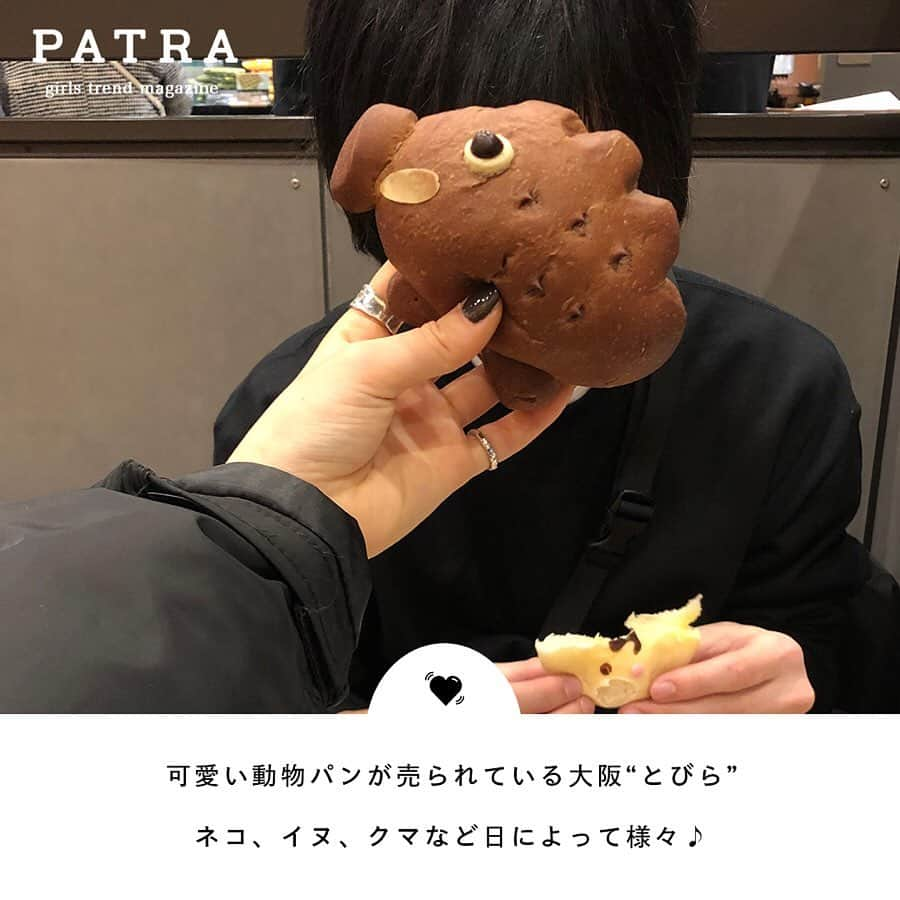 PATRA magazineさんのインスタグラム写真 - (PATRA magazineInstagram)「6/18♡スワイプしてね👉「動物フードでほっこり気分🐰」 . 動物好きにはたまらない！食べてしまうのがもったいない、アニマルモチーフのフードをご紹介♪ 食べて美味しい♪見ても楽しい♪ ぜひチェックしてね！ . Thank you 🌹 @yk.th / @nmt_oo @__su_5xii / @minou2318 . 今女の子の中で流行っているコトやITEMがあればPATRAをタグ付けして教えてね❤︎ 皆さんのすてきな投稿をぜひ紹介させてください！ . #patra #カフェ巡り #カフェ #動物 #動物モチーフ #アニマル #アニマルモチーフ #クマ #イヌ #かわいい #カフェ好きな人と繋がりたい #グルメ #女子会 #誕生日 #サプライズ #誕生日祝い #バースデーケーキ #ジェークック #ロータス #とびら  #フィカコーヒー #福岡カフェ #東京カフェ #表参道カフェ #大阪カフェ」6月18日 13時07分 - patra__jp