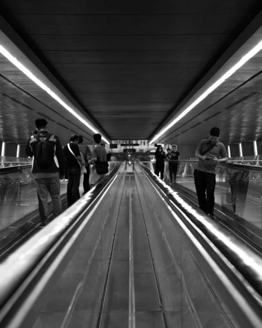 Canon Asiaのインスタグラム：「"I was walking between the airport terminals in Singapore’s Changi Airport when I saw this extremely beautifully symmetrical feature between the two escalators. I waited for a few people to get in the frame before I snagged this photograph. The photo portrays Singaporeans’ busy lifestyle and their hard work paying off, as represented by the beautiful architecture found in Singapore." • Having an eye 👀 for photography is key to spotting unconventional photography opportunities. So start training yourself to spot unique photography opportunities that can render you amazing photographs today! 🤩 • 📷 Image by xerophiite on My Canon Story using the Canon EOS 800D | f/5.6 | 1/60s | ISO 800 | 55mm  Want your photos to be featured too? Tag them with #canonasia or submit them on My Canon Story, link in bio!  #canonasia #photography #igsg #Singapore #monochromephotography #symmetry #architecturephotography」
