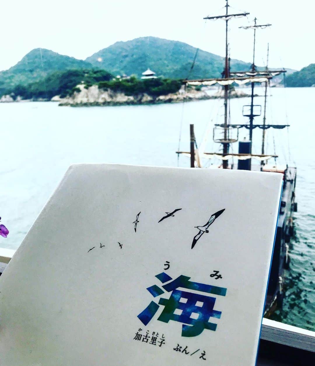ただすけのインスタグラム