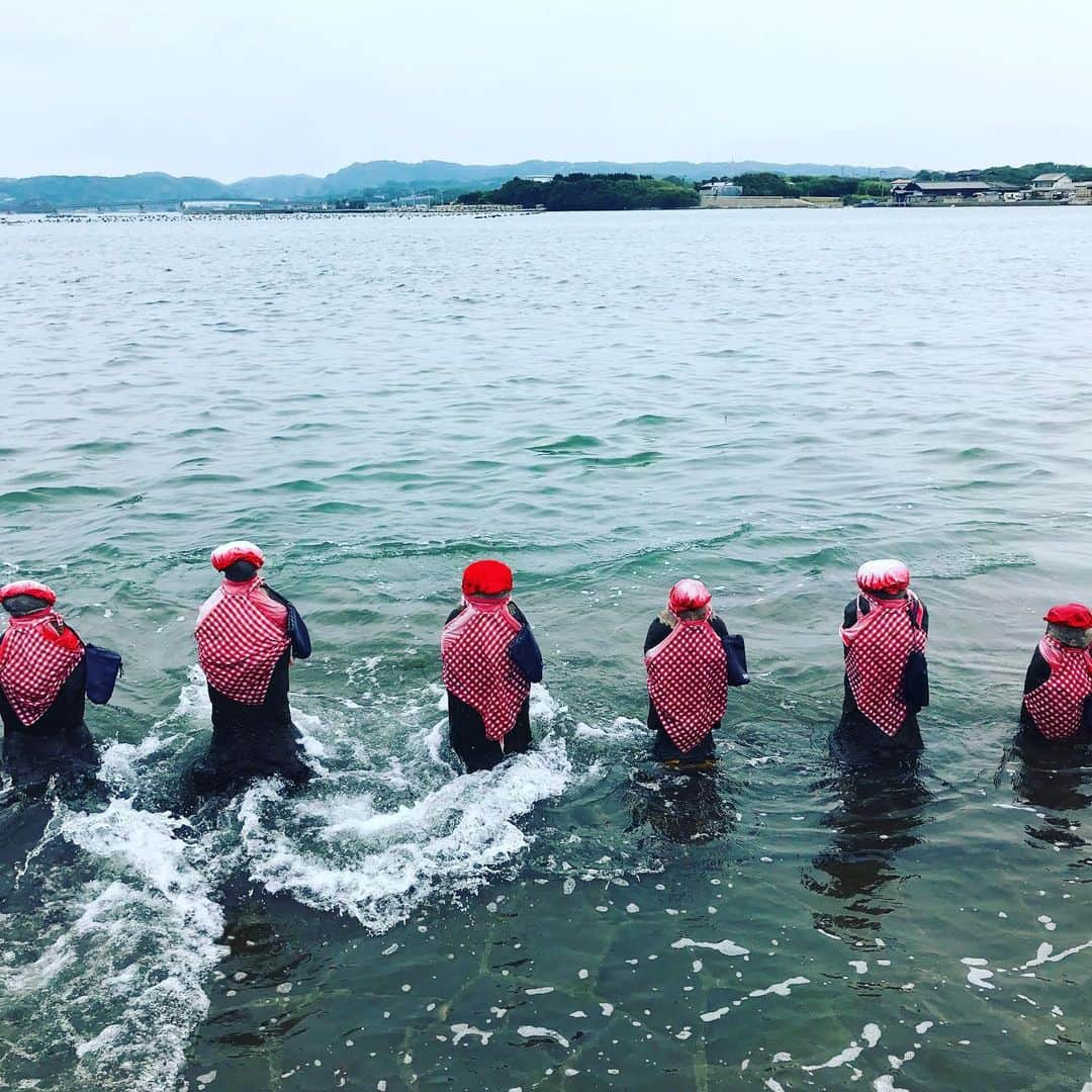 ヤマザキマリさんのインスタグラム写真 - (ヤマザキマリInstagram)「海に濡れる地蔵様達」6月18日 14時34分 - thermariyamazaki