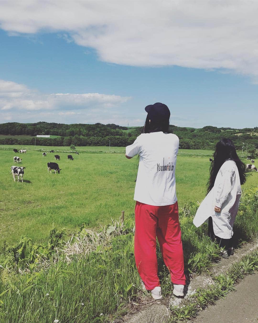 青葉市子さんのインスタグラム写真 - (青葉市子Instagram)「🐄」6月19日 1時27分 - ichikoaoba