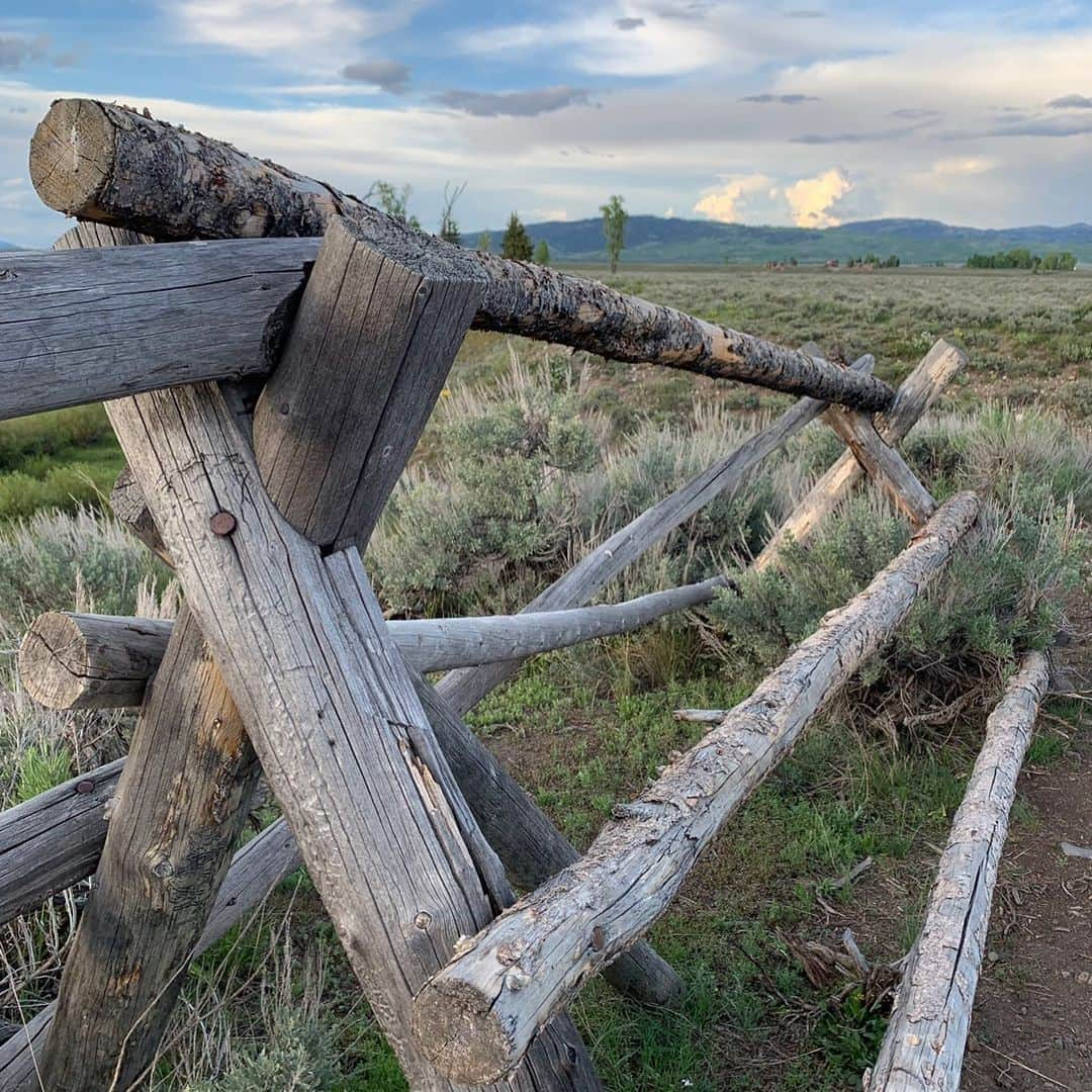 ノーマン・フォスターさんのインスタグラム写真 - (ノーマン・フォスターInstagram)「Looking back - interesting design response - a tradition of fencing that does not penetrate the ground but sits on top of it - with log steps .」6月19日 1時33分 - officialnormanfoster