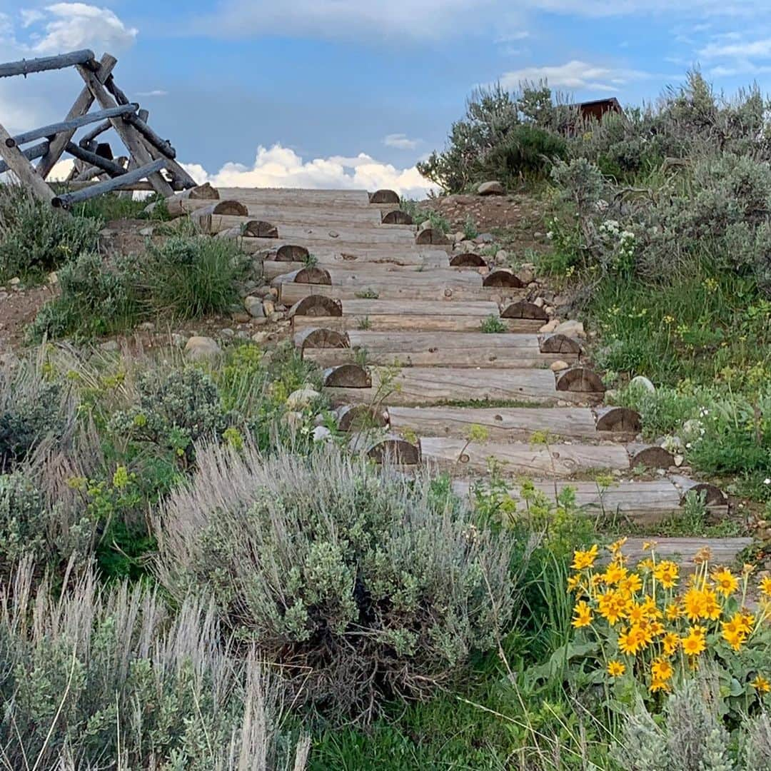 ノーマン・フォスターさんのインスタグラム写真 - (ノーマン・フォスターInstagram)「Looking back - interesting design response - a tradition of fencing that does not penetrate the ground but sits on top of it - with log steps .」6月19日 1時33分 - officialnormanfoster