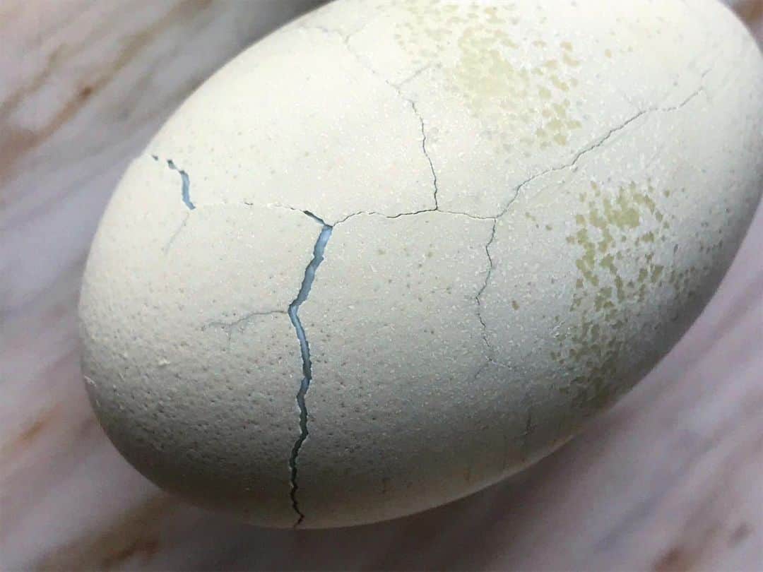 glorianotoさんのインスタグラム写真 - (glorianotoInstagram)「#Brâncuși ? Or the most beautiful hard boiled egg I’ve ever not wanted to eat? #nofilter」6月19日 1時46分 - glorianoto