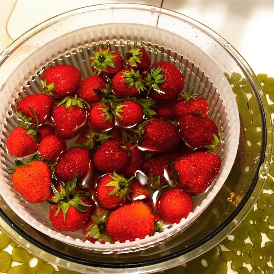 HI-Dさんのインスタグラム写真 - (HI-DInstagram)「畑で採れた甘酸っぱくて香りの強いイチゴを贅沢に沢山使ったイチゴジュースは最高に美味しいんだ。ビタミンだけじゃなく幸せも摂取できる。今日も帰ったら飲もう。 #strawberry #juice #naturaljuices #vitamin #無農薬 #最近まで毎日1パック半ぐらい収穫できた #自然の恵 #感謝 #自然 #毎日でも飲みたい #favorite #fruit #berry #仕事後の楽しみ #大小不ぞろいなのは自然な証拠」6月18日 17時06分 - hid_hideo_jp_suomi
