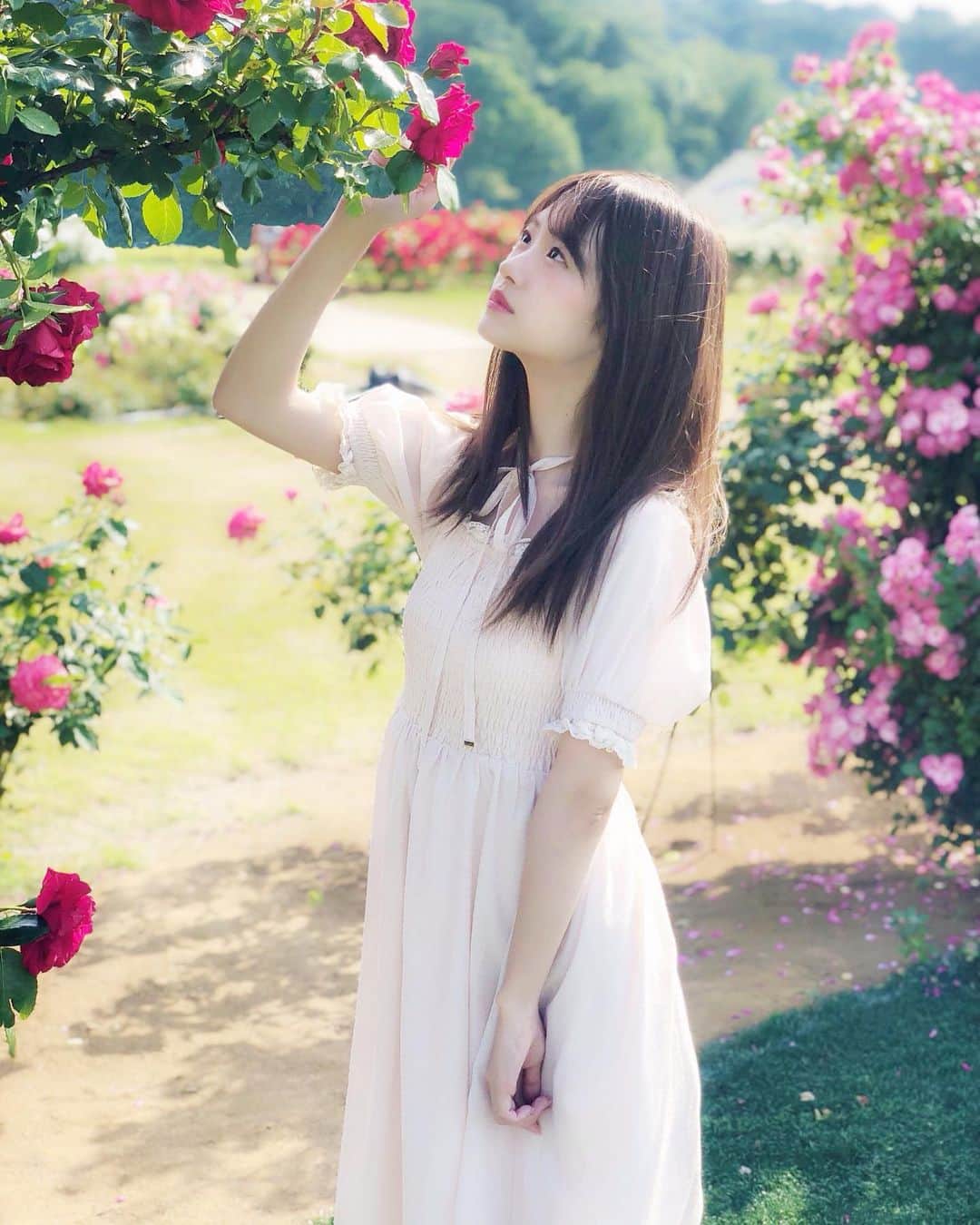 長南舞さんのインスタグラム写真 - (長南舞Instagram)「お花、好き？」6月18日 17時22分 - chonanmai